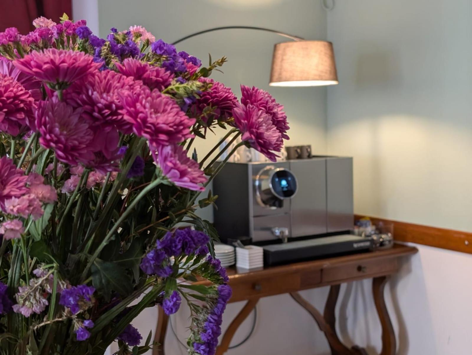 Villa Antonietta Rooms & Coffee チェゼナーティコ エクステリア 写真